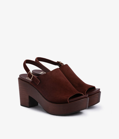 daura / brunette castoro-brunette pine