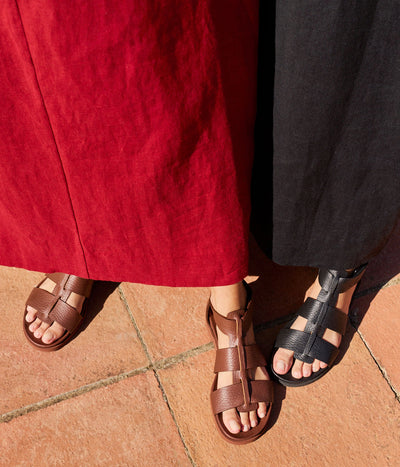 jesica / chestnut cervo