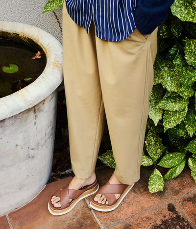 bulma / saddle cervo