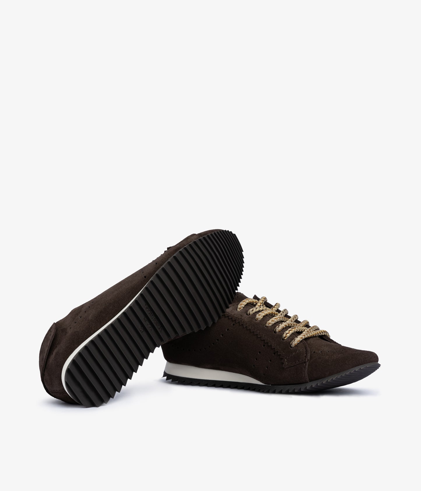 celin / brown castoro