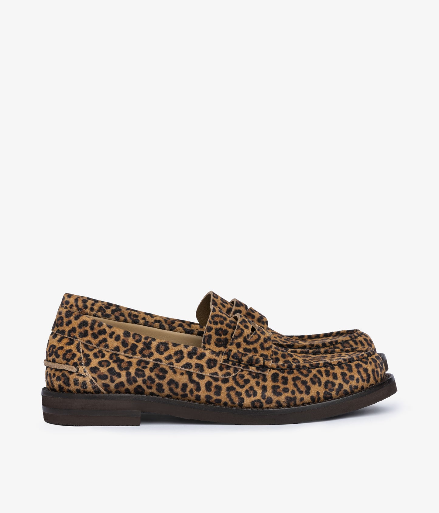 sabela / mini leopard castoro