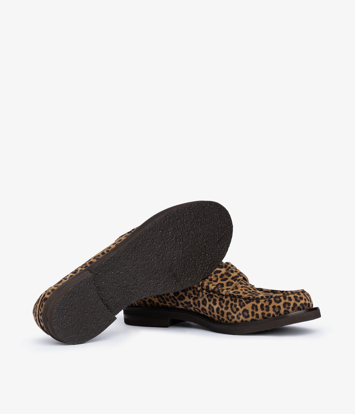 sabela / mini leopard castoro