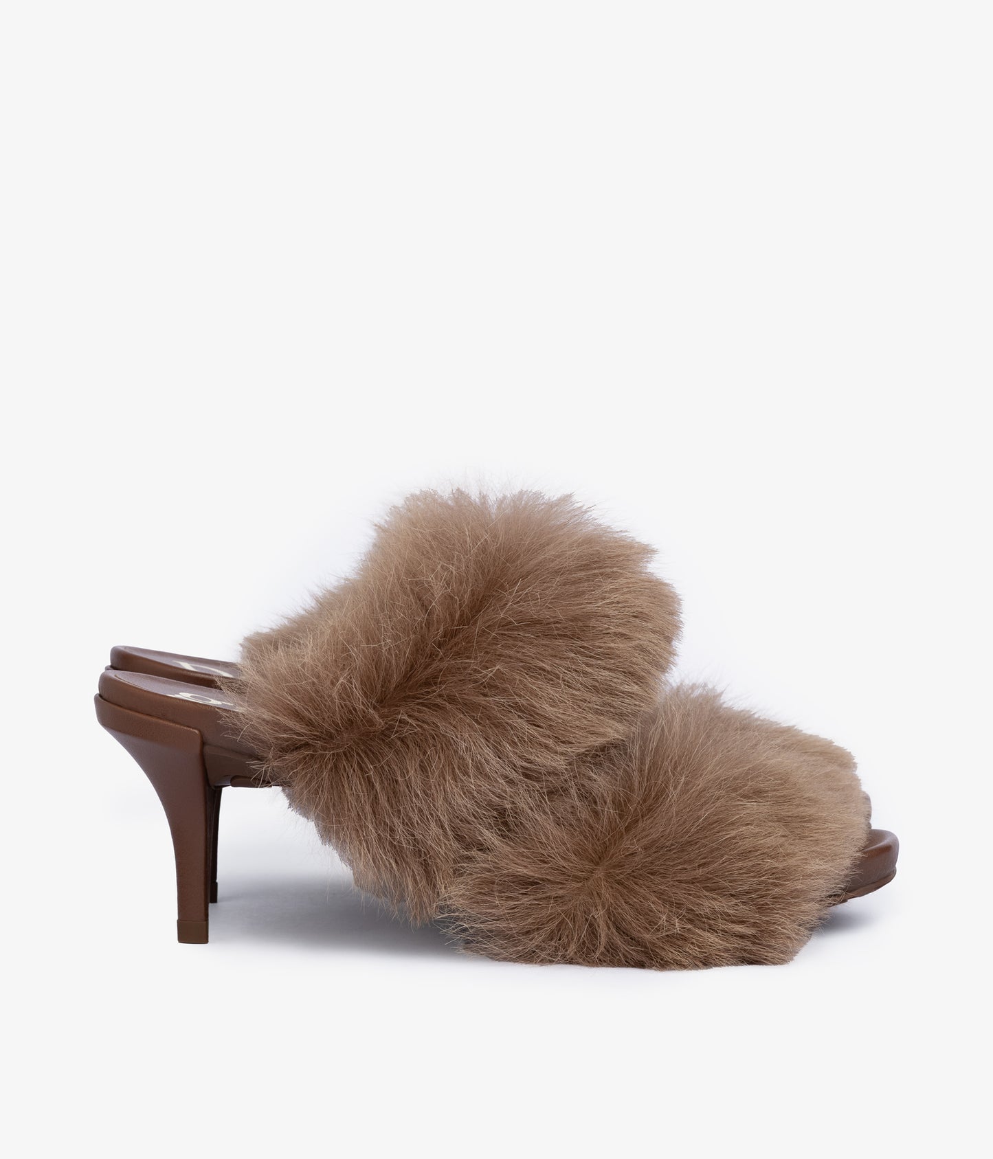 cissy / chestnut churra