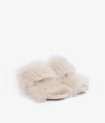 cissy / powder churra