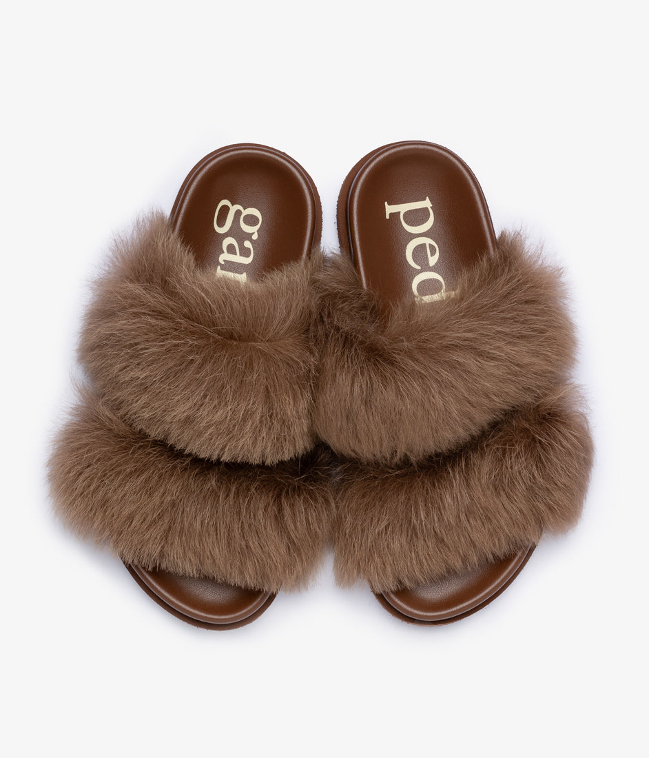 duska / chestnut churra