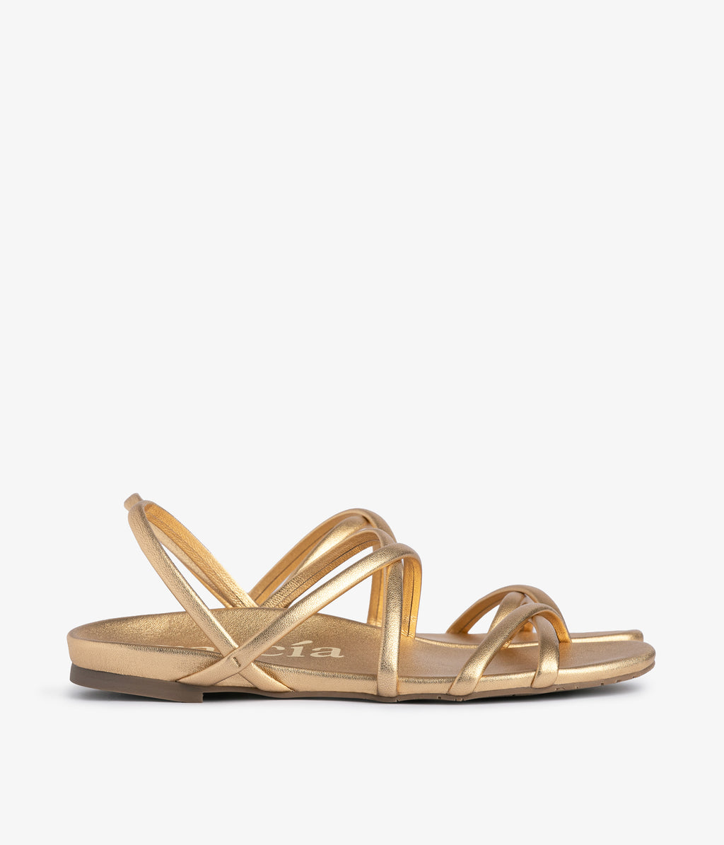 biddy / gold nappa