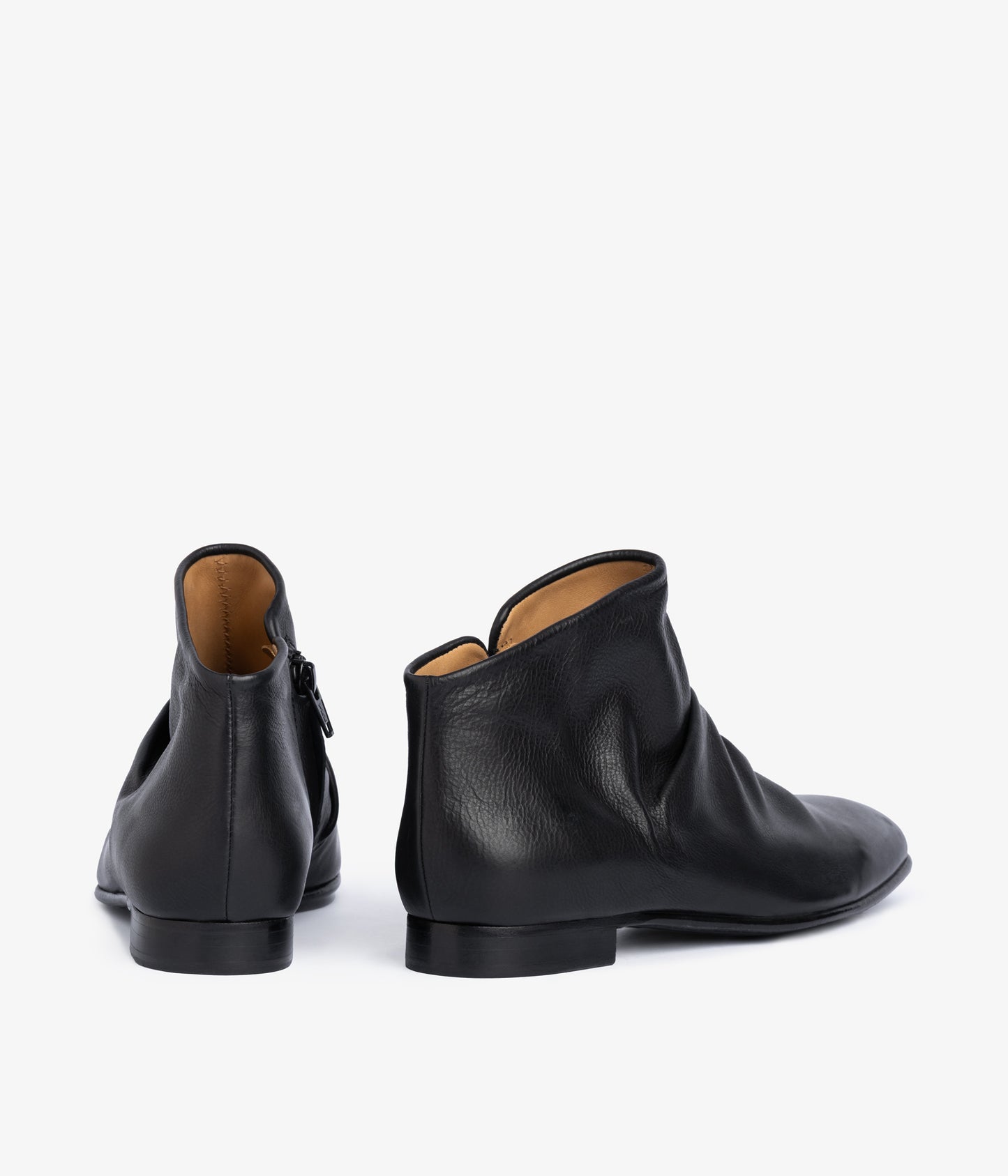 ganga / black clarabelle