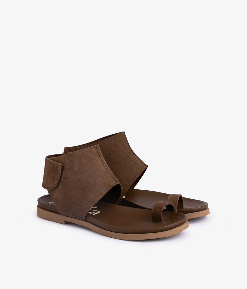 vania / chocolat castoro