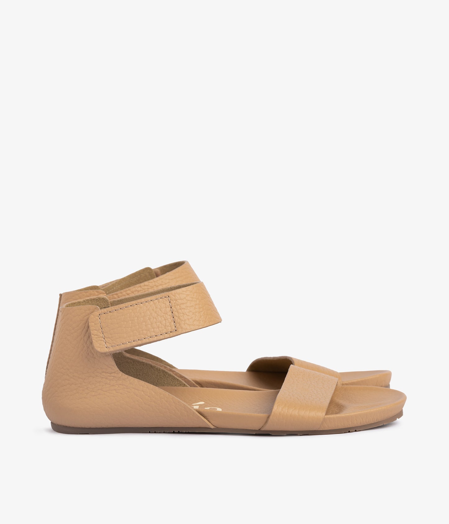 jalila / camel cervo