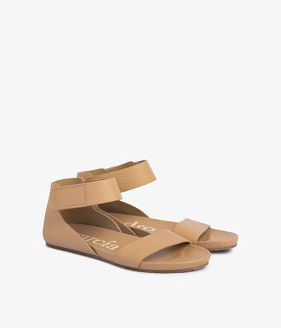 jalila / camel cervo