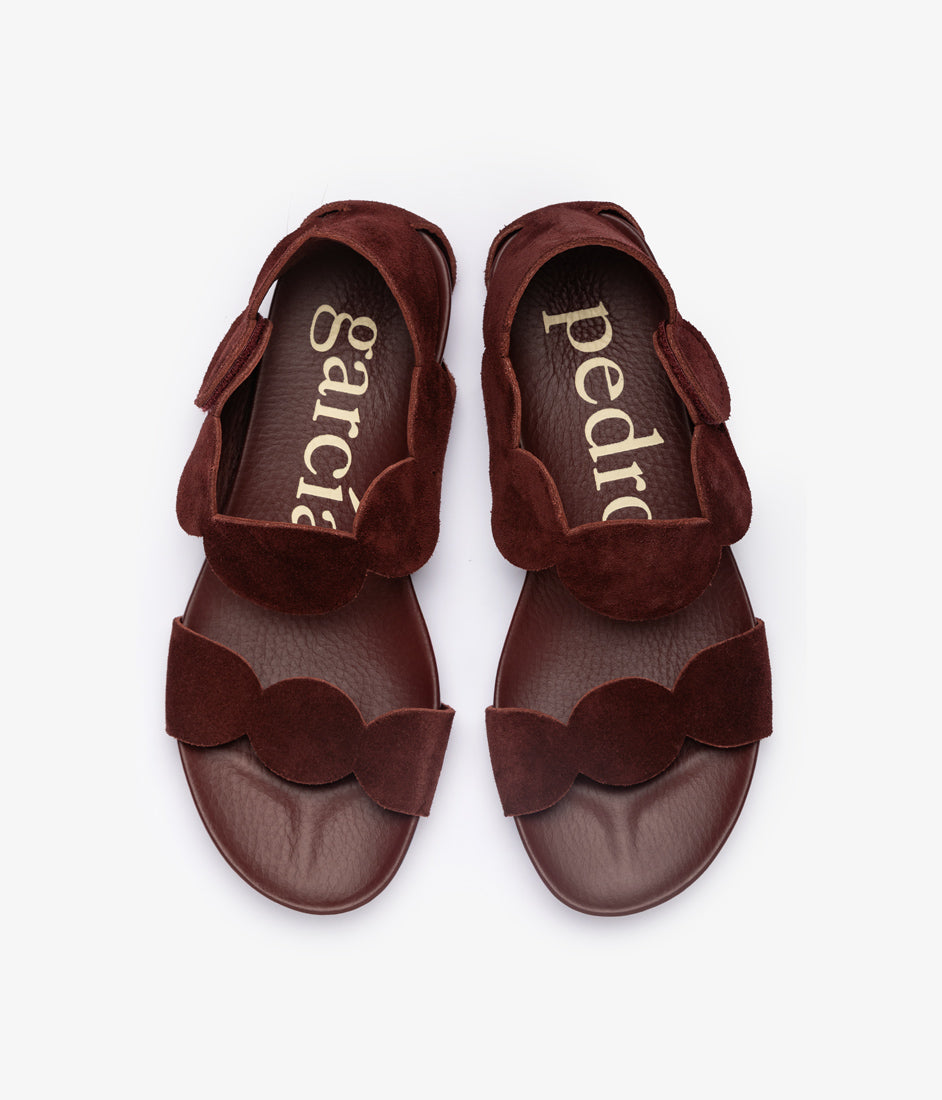 jeanne / brunette catoro