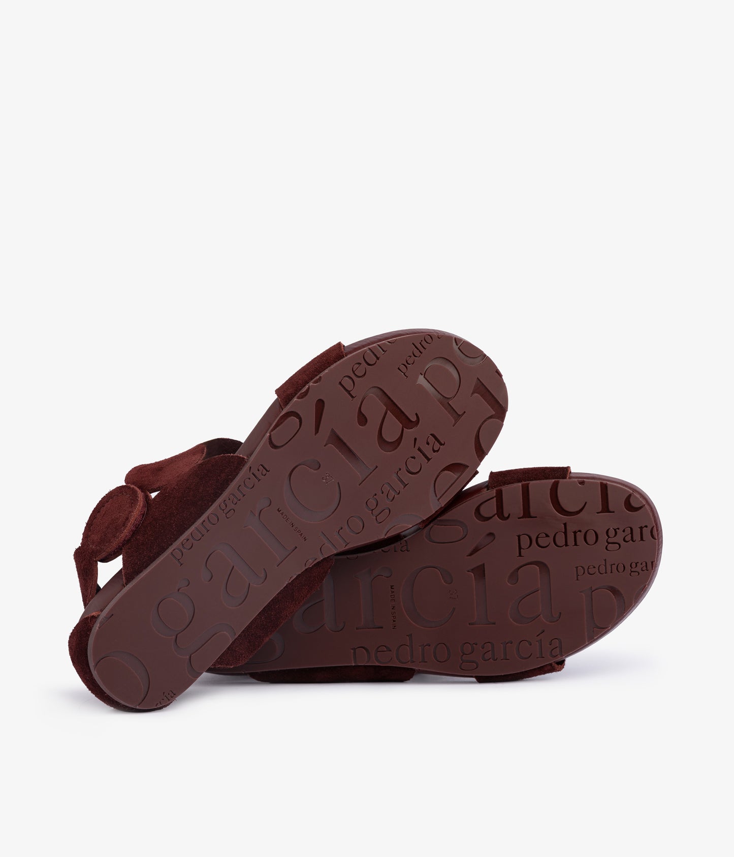 jeanne / brunette catoro