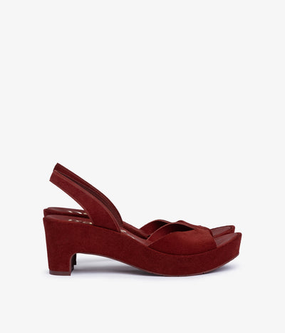 darinka / chili castoro