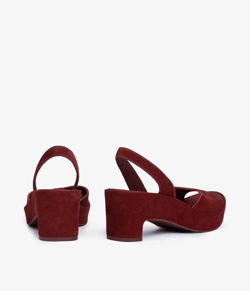 darinka / chili castoro