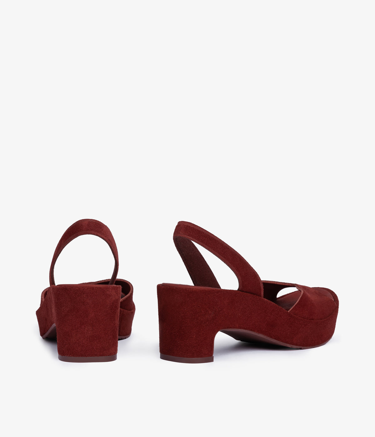 darinka / chili castoro