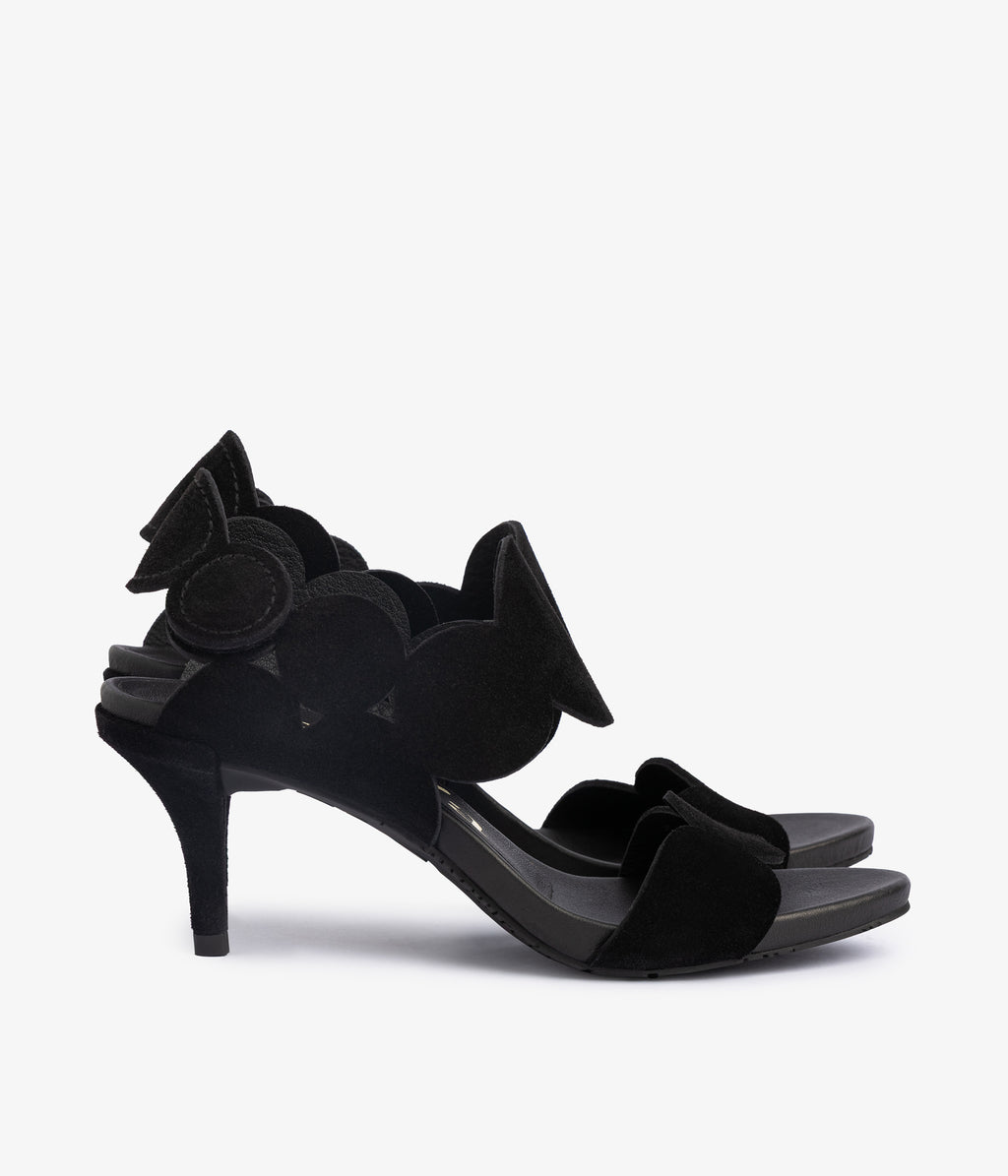 winslet / negro castoro