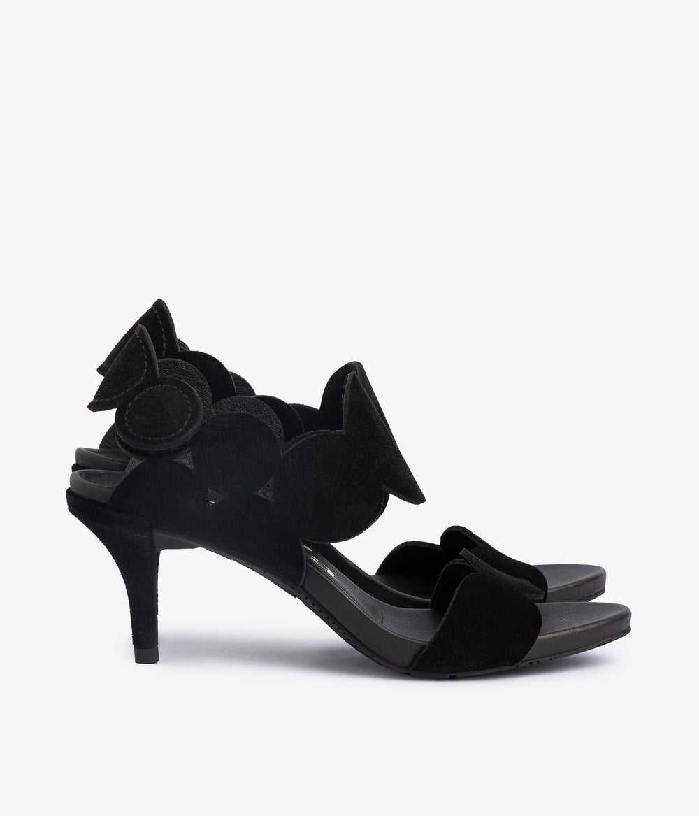 winslet / negro castoro