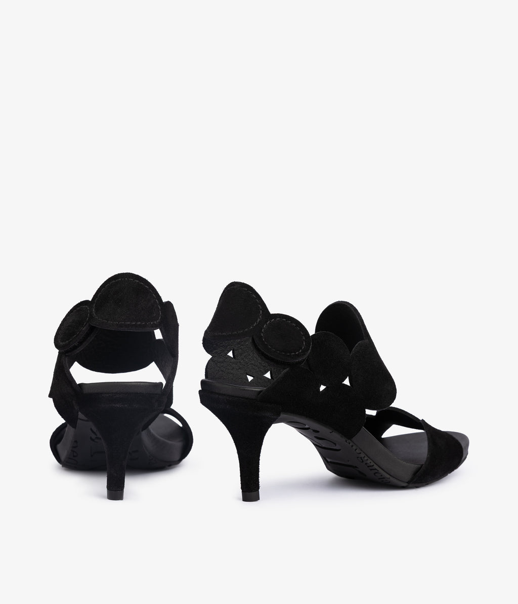 winslet / negro castoro
