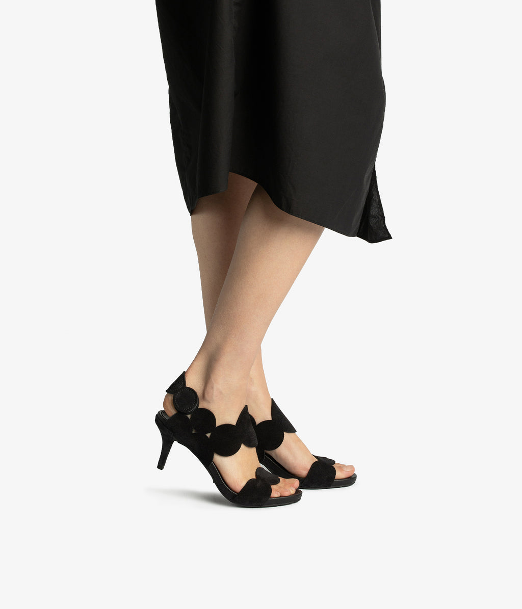 winslet / negro castoro