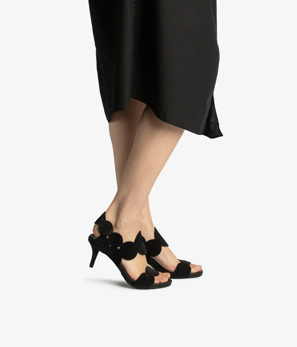 winslet / negro castoro