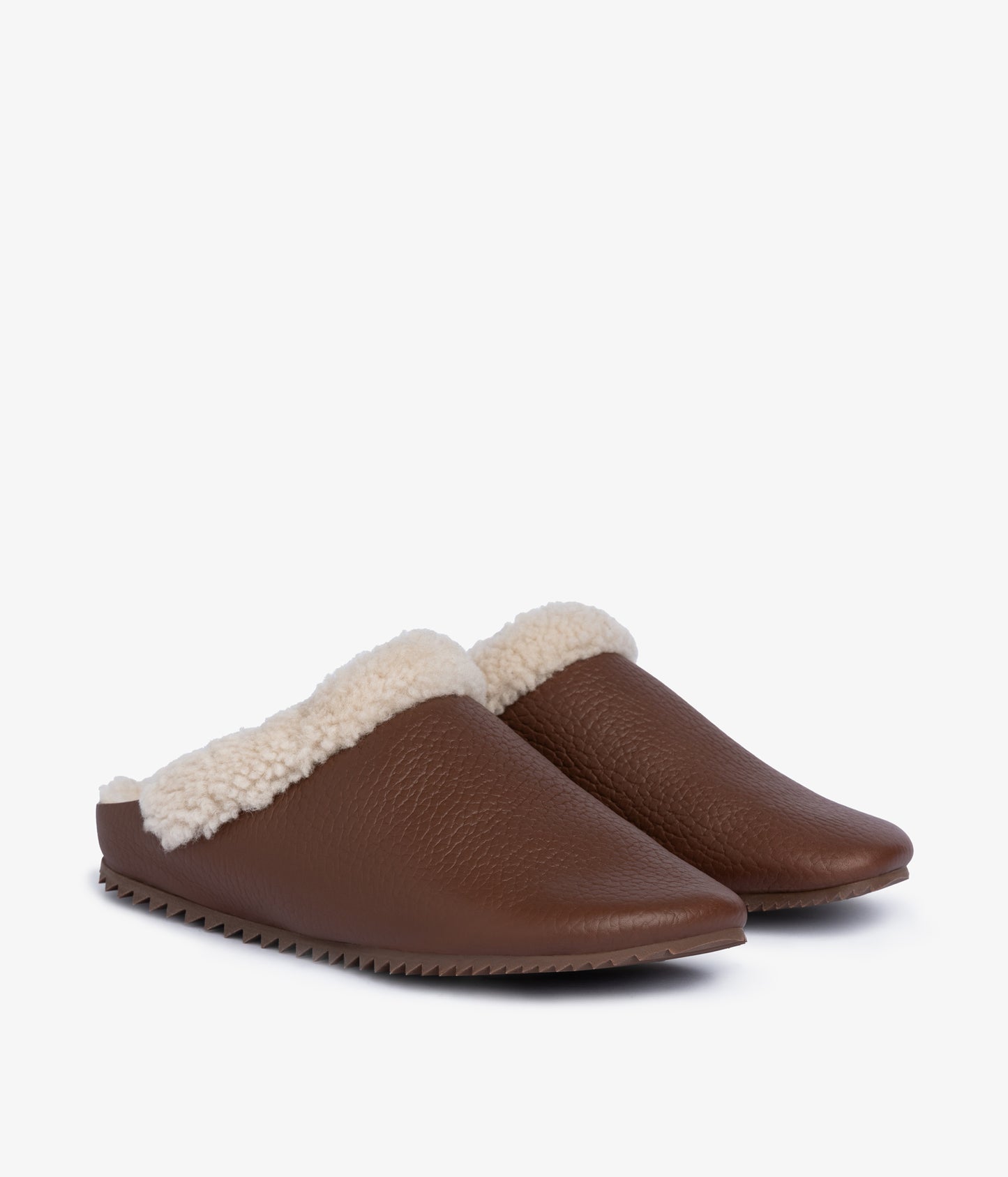 banda / chestnut cervo