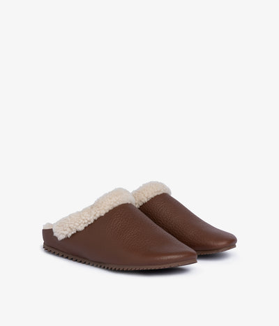 banda / chestnut cervo