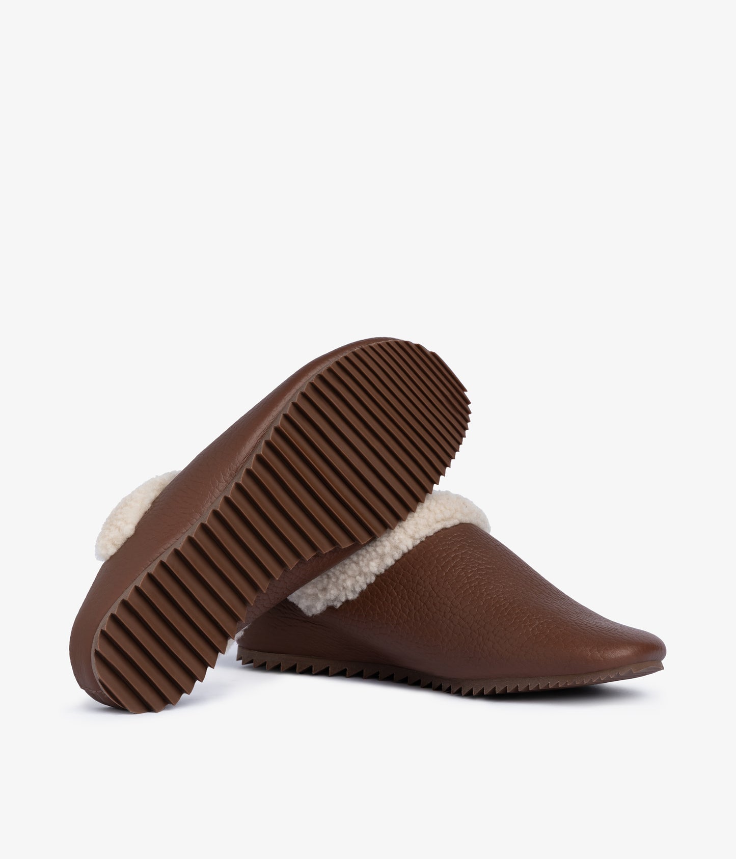 banda / chestnut cervo