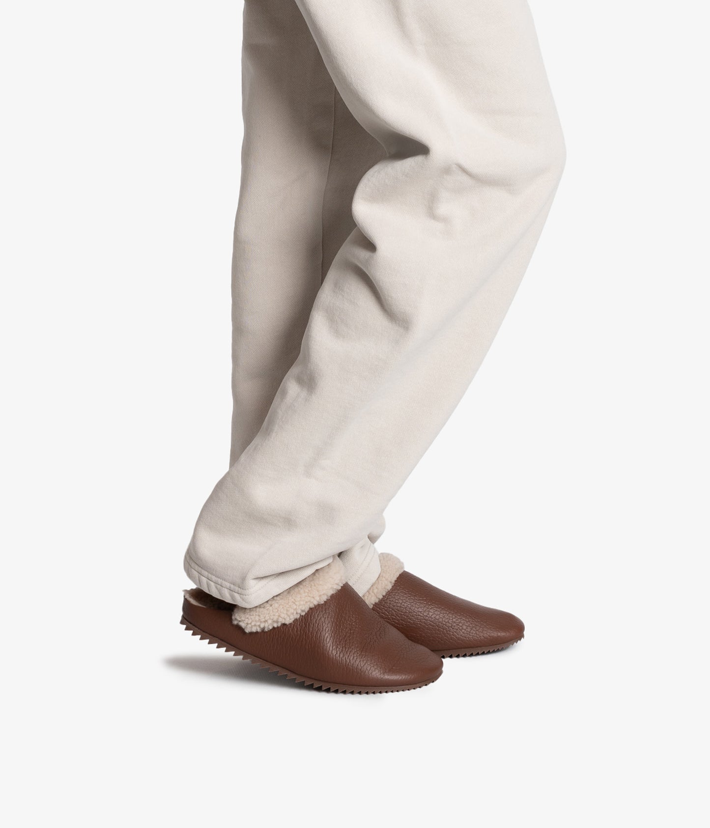 banda / chestnut cervo
