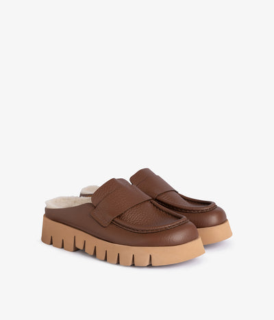 bluma / chestnut cervo