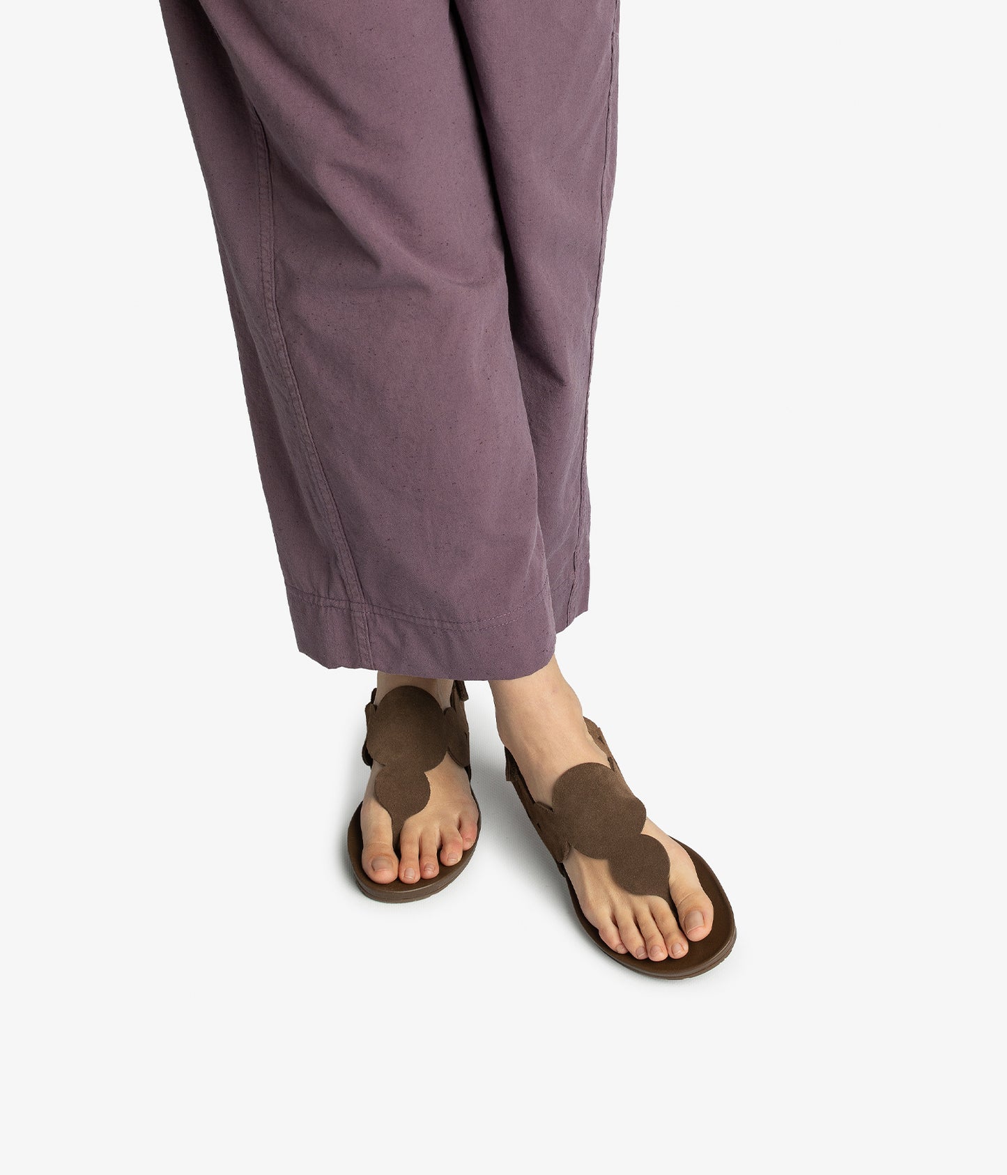 jamee / chocolat castoro