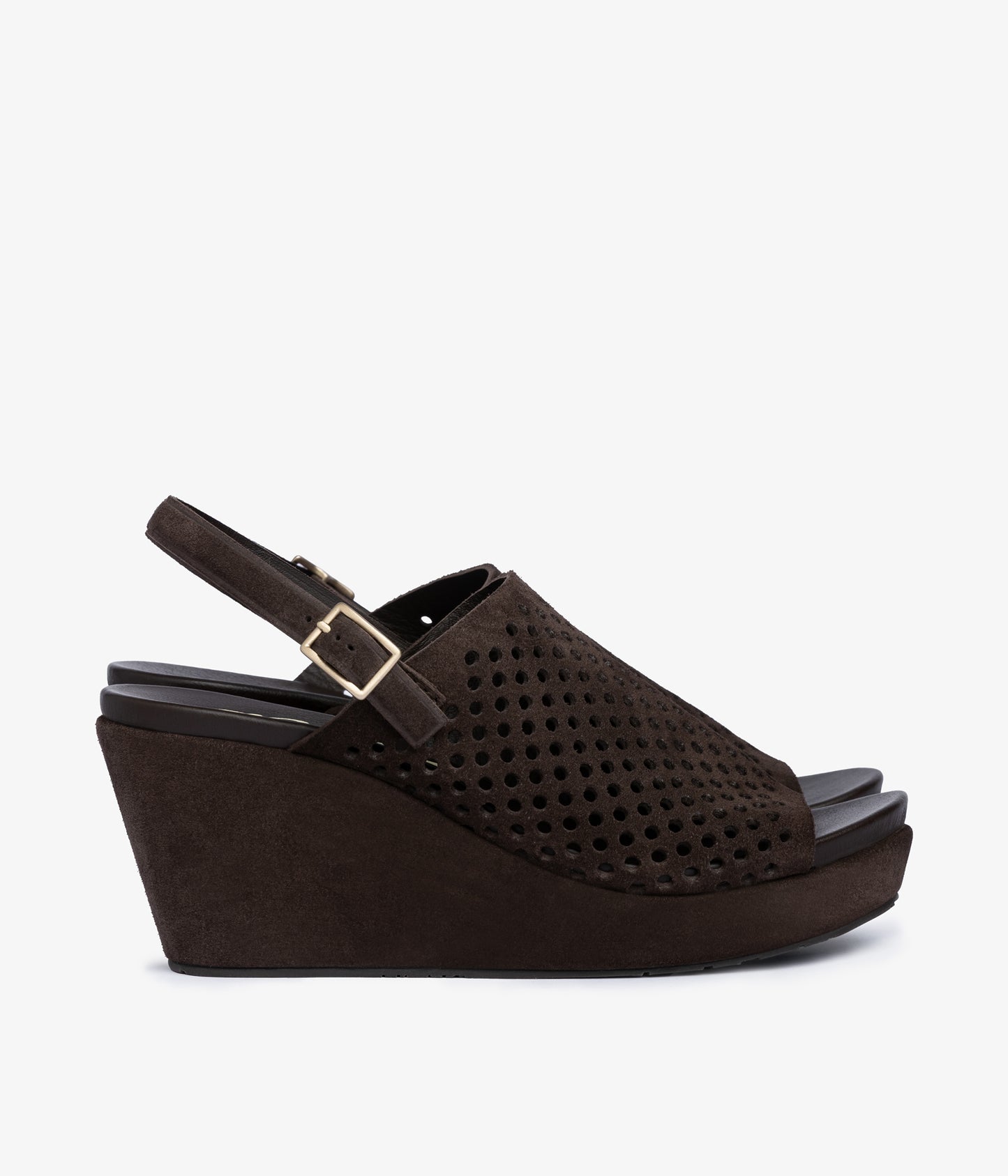 alvara / brown castoro