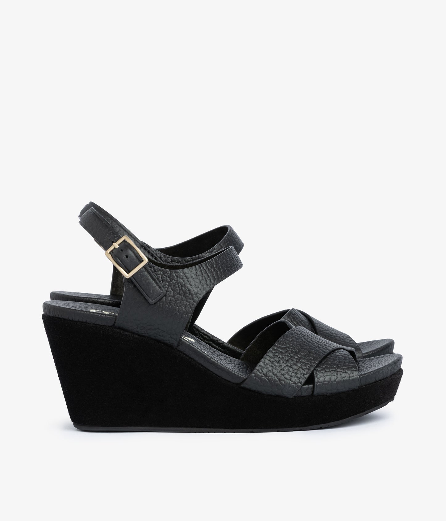 aleyda / black cervo