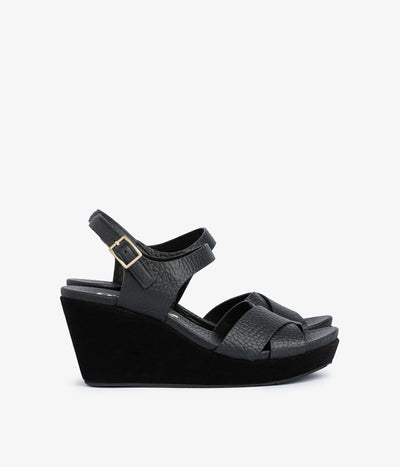 aleyda / black cervo
