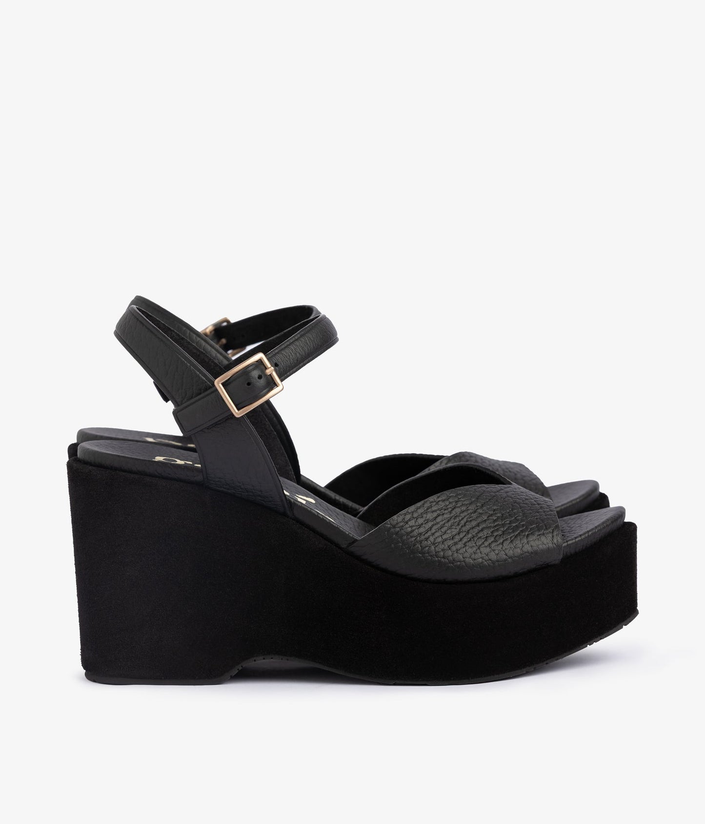 doina / black cervo