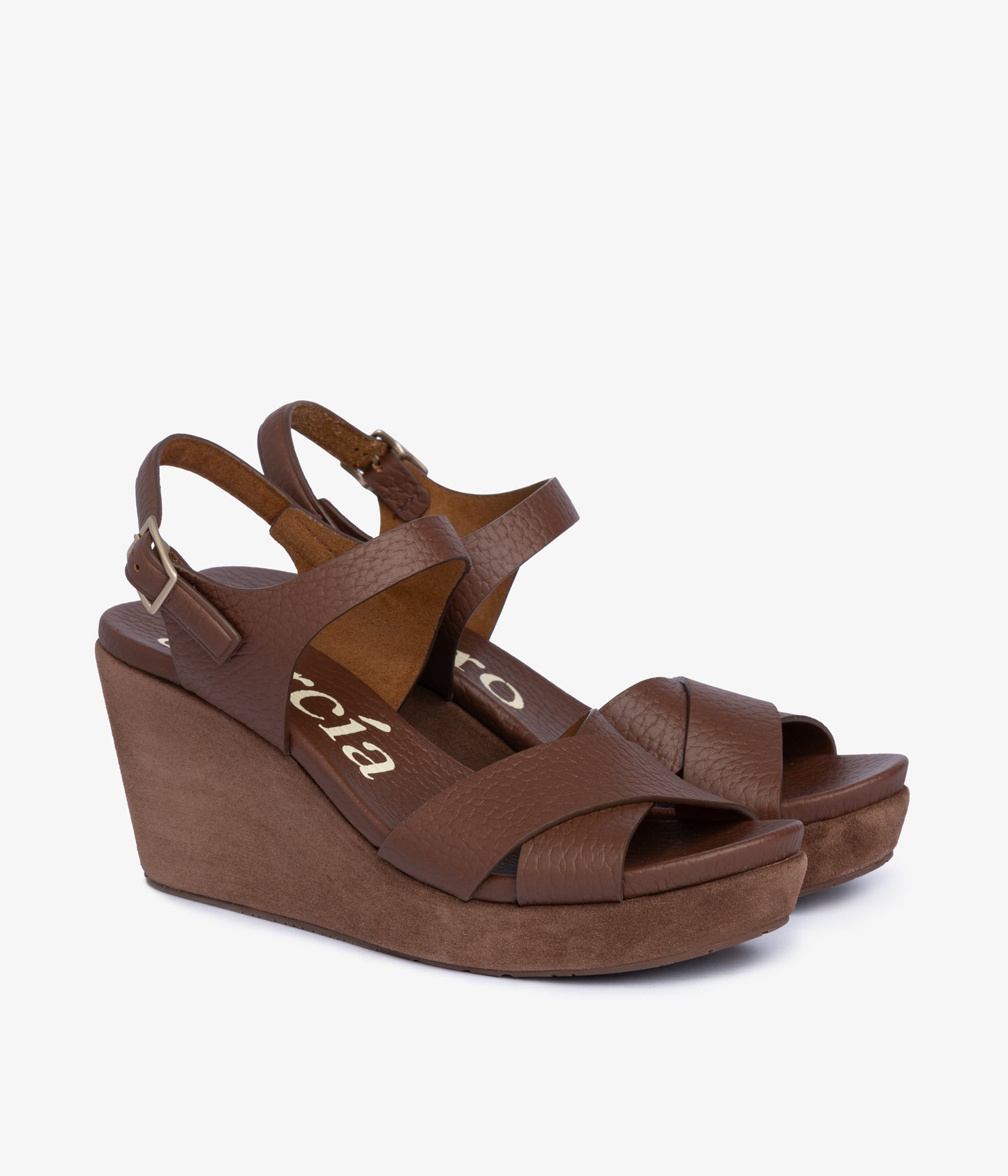 aleyda / chestnut cervo