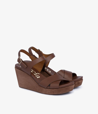 aleyda / chestnut cervo