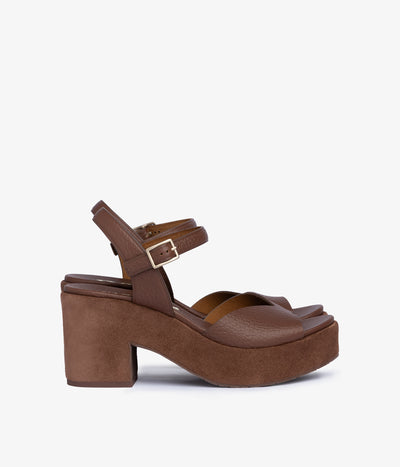 doina / chestnut cervo