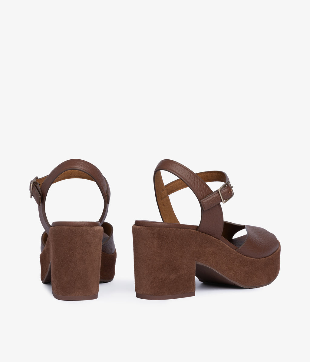 doina / castaño cervo