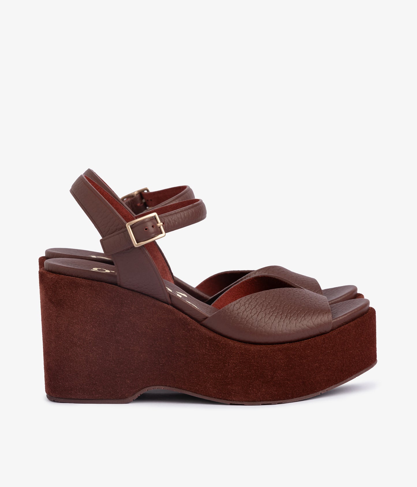 doina / brunette cervo