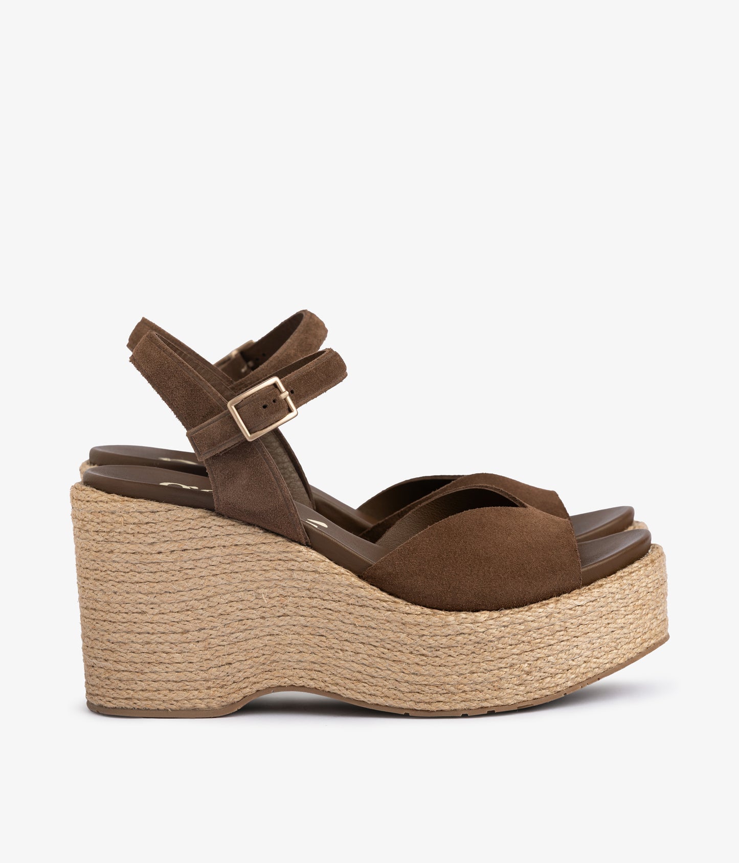 doina / chocolat castoro