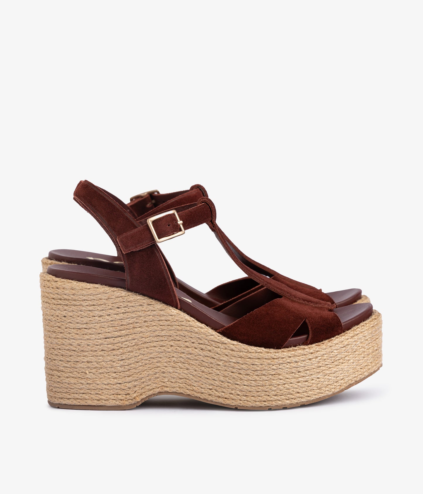 domiel / brunette castoro