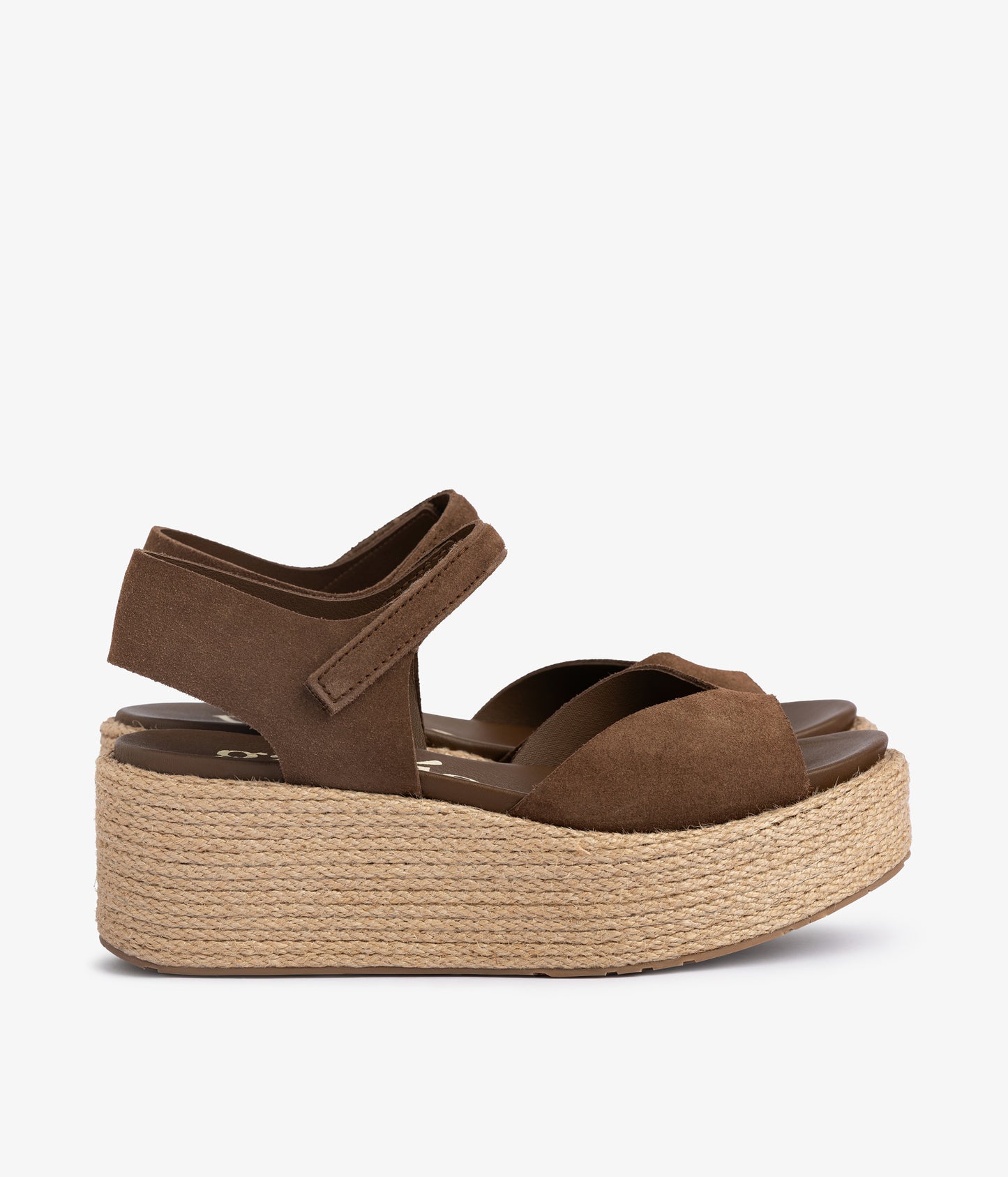 nirvana / chocolat castoro