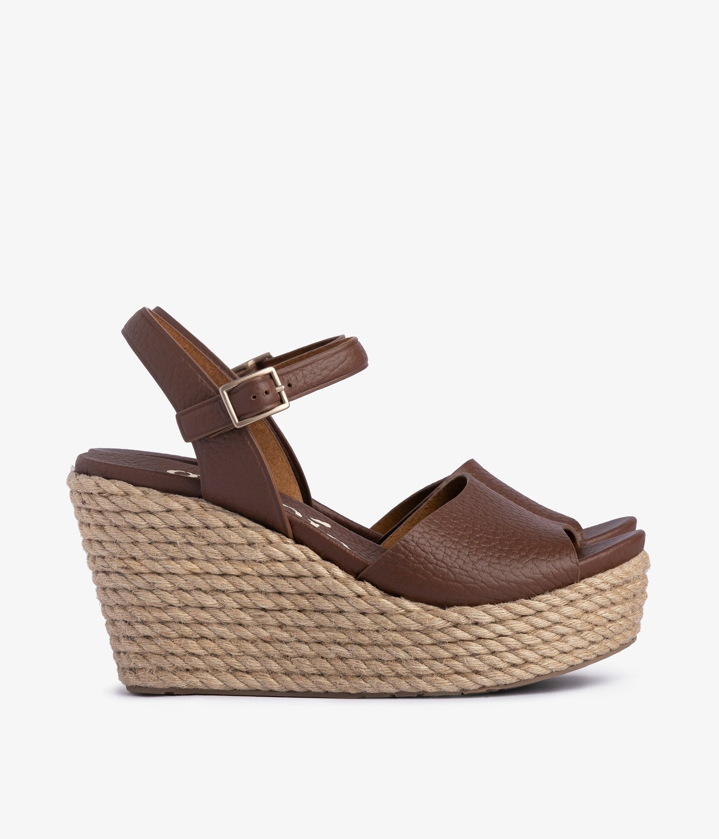 danila / chestnut cervo