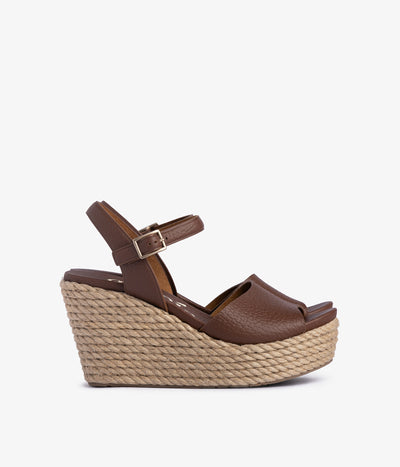 danila / chestnut cervo