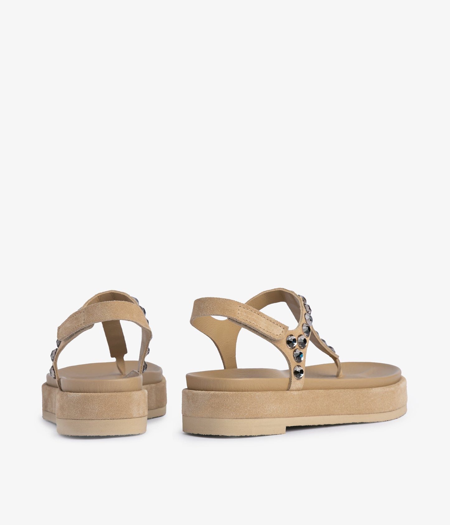 judith / dijon castoro